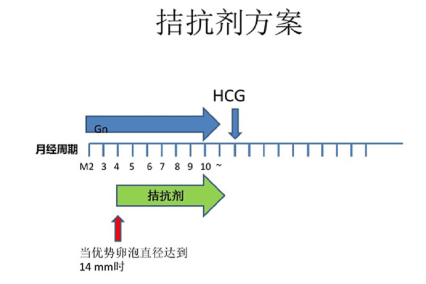 微信图片_20231008215257.png