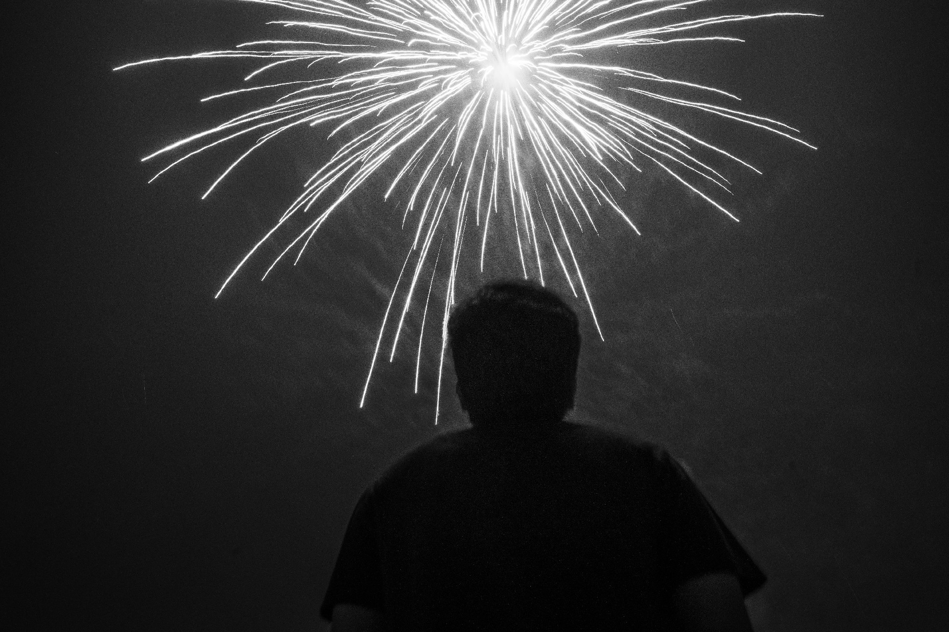 pexels-naveen-kumar-236010016-12308334.jpg
